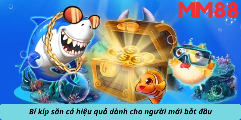 Bí kíp săn cá hiệu quả cho người mới bắt đầu