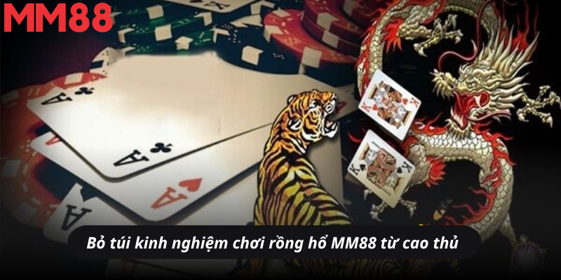 Bỏ túi kinh nghiệm chơi rồng hổ MM88 từ cao thủ