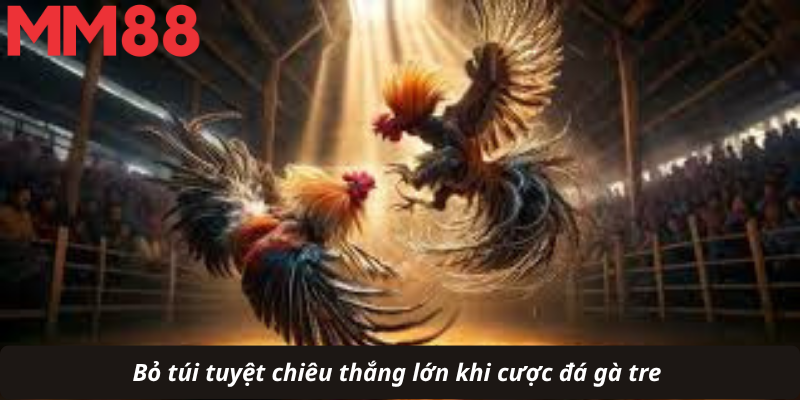 Bỏ túi tuyệt chiêu thắng lớn khi cược đá gà tre