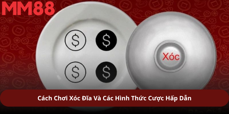 Cách Chơi Xóc Đĩa Và Các Hình Thức Cược Hấp Dẫn