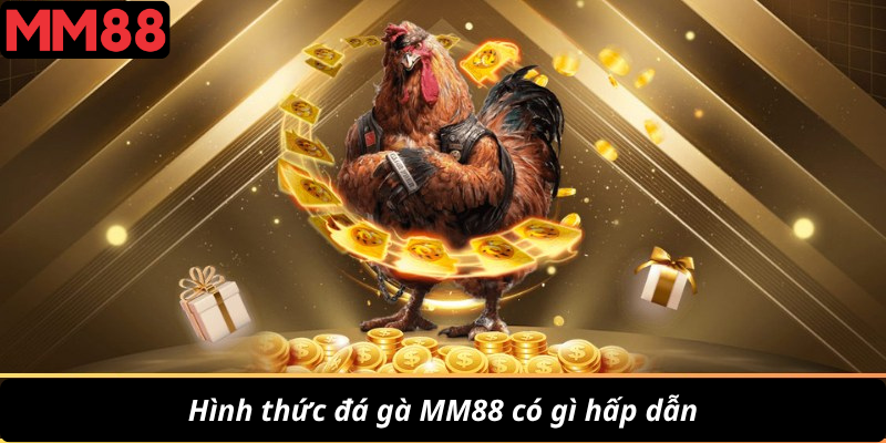 Hình thức đá gà MM88 có gì hấp dẫn