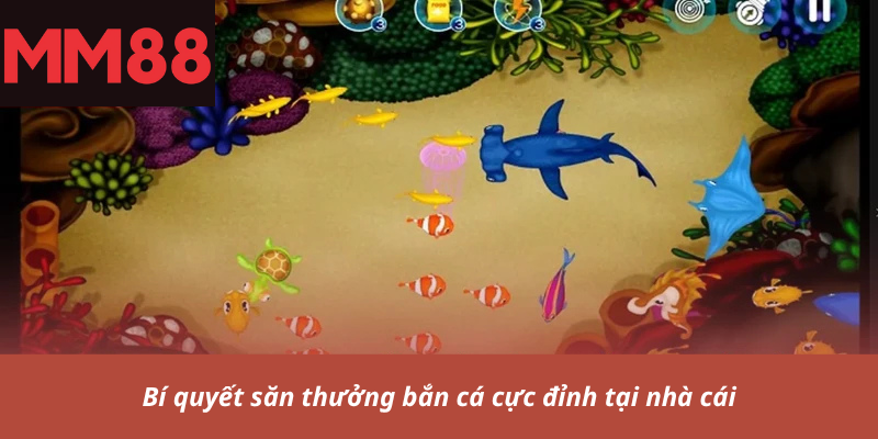 Bí quyết săn thưởng bắn cá cực đỉnh tại nhà cái