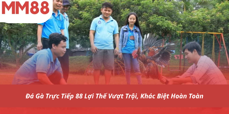 Đá Gà Trực Tiếp 88 Lợi Thế Vượt Trội, Khác Biệt Hoàn Toàn