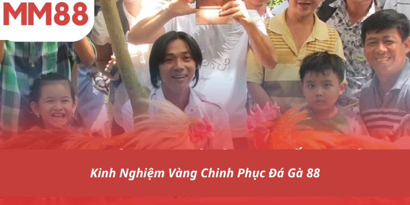 Kinh Nghiệm Vàng Chinh Phục Đá Gà 88