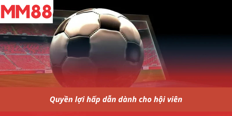 Quyền lợi hấp dẫn dành cho hội viên