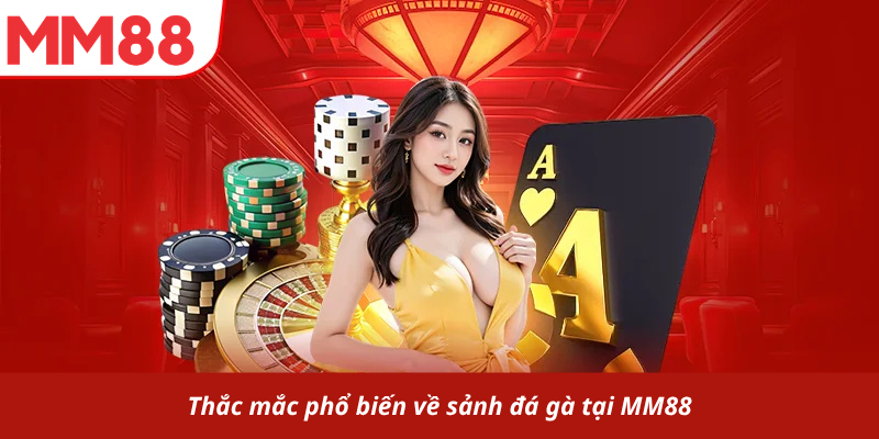 Thắc mắc phổ biến về sảnh đá gà tại MM88